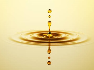 Sunflower Oil Prices in Ukraine