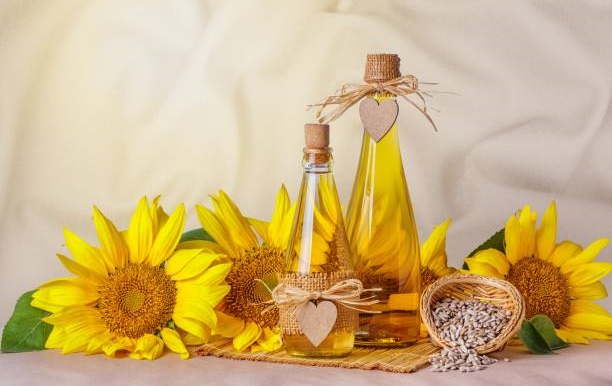 Sunflower Oil Prices in Ukraine