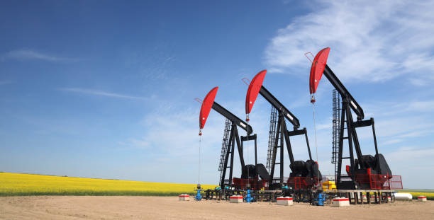 Sunflower Oil Producers in Ukraine